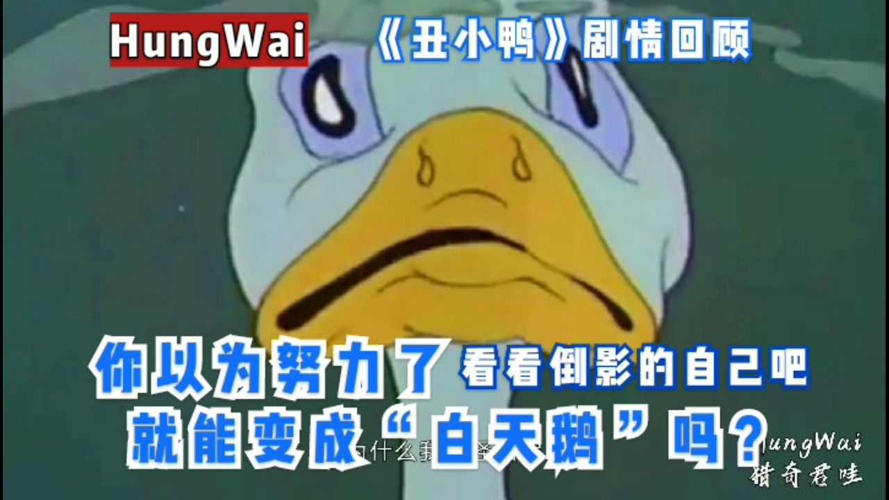 《丑小鸭》你以为努力了就能变成“白天鹅”吗?看看倒影的自己吧